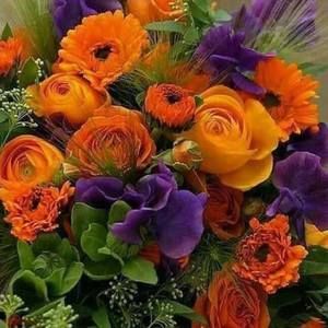 Meet your Posher, Suzanne